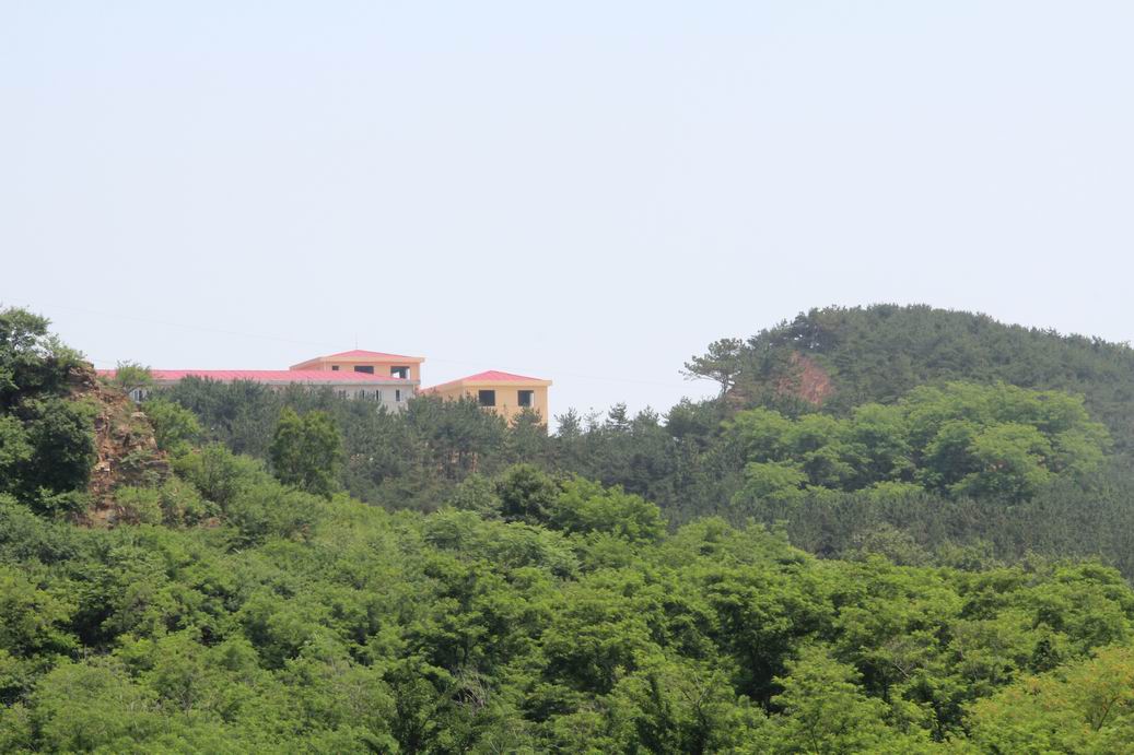 调整大小 照片 716.jpg