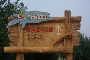 163426k5jdgp5y5scpoucb