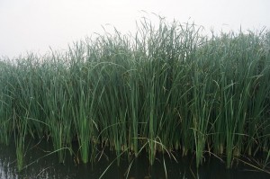 163606vvie9y2ee4eaf1y4