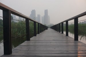 163936nlac96klh0pfzk3l