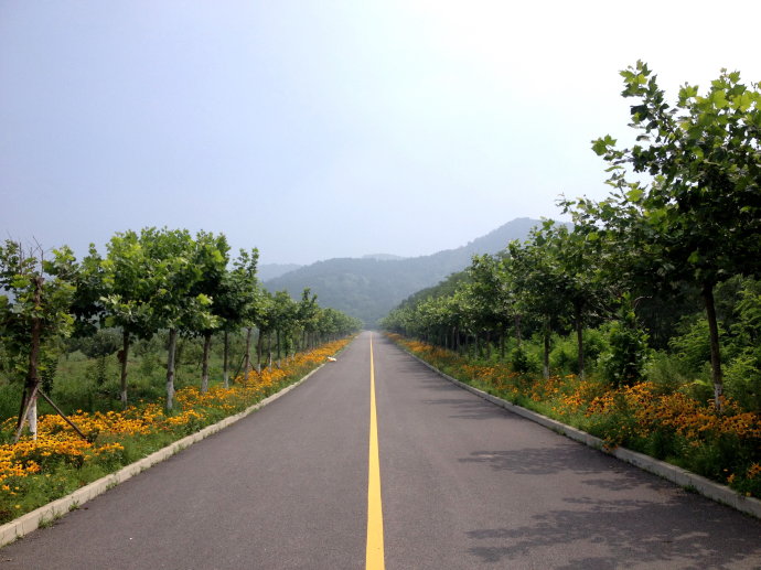 徒走在新发现的大连望山路上 徒走在新发现的大连望山路上