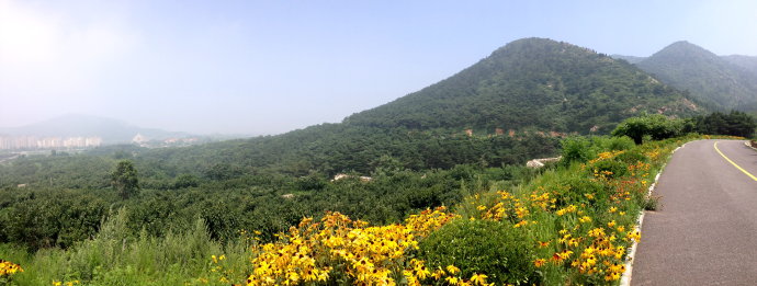 徒走在新发现的大连望山路上 徒走在新发现的大连望山路上