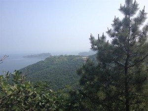 IMG_0607