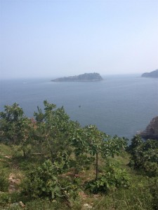 IMG_0628
