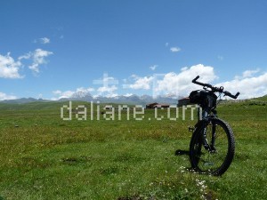 20101110160058_2785027765