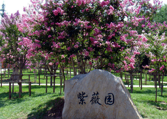 [转载]大连秋色（图片精选）