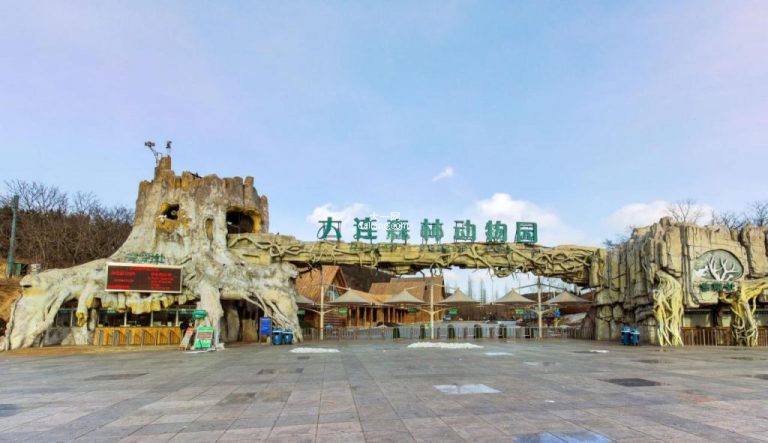 休闲玩耍去处-大连森林动物园